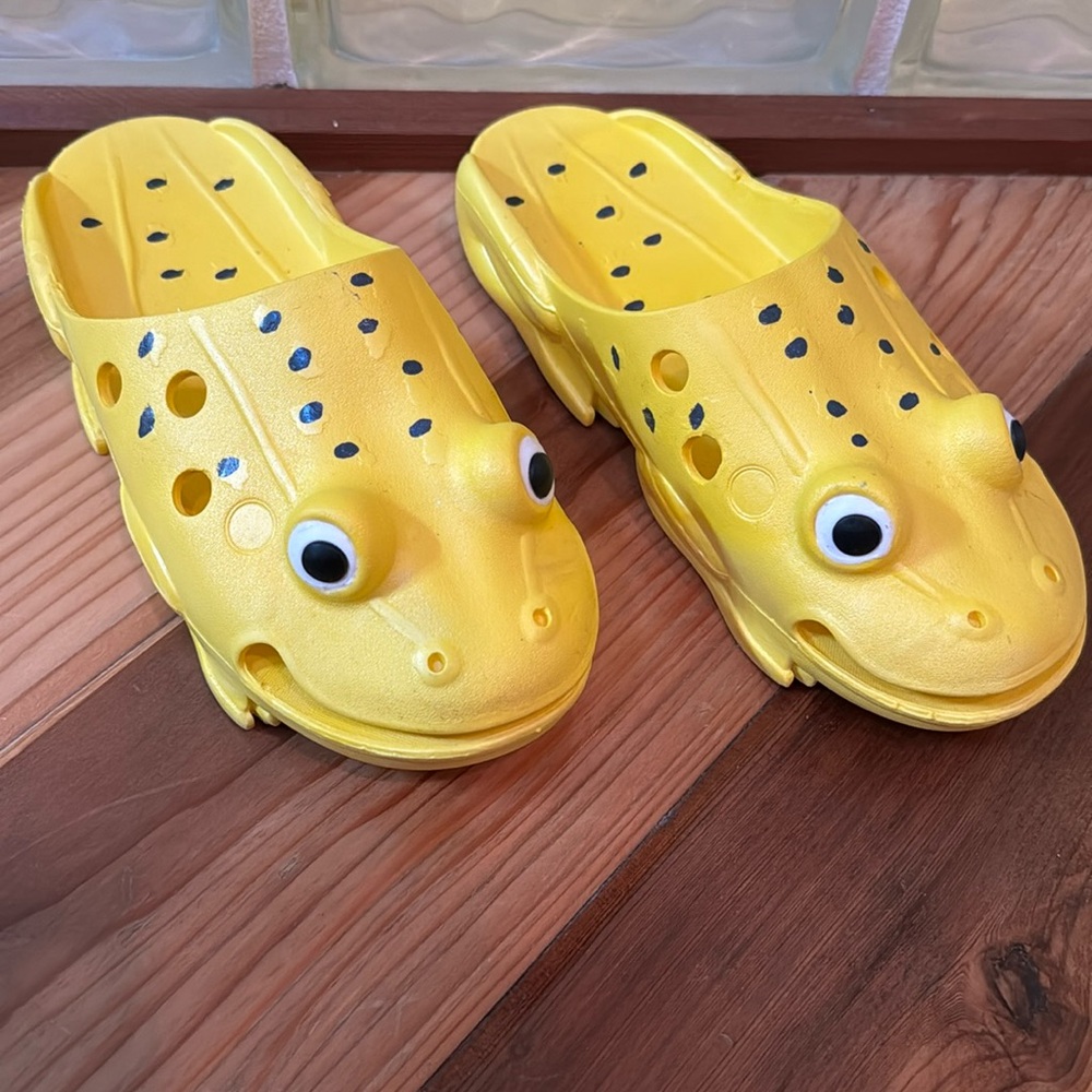 Fun, rubber, frog slip on slides.